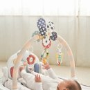 정도체육관 이미지