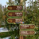 가루실농장 이미지
