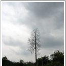 석류공원 이미지