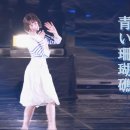 푸른산호초 이미지