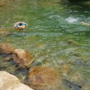 참샘산방 이미지