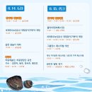 제8회 하동섬진강문화재첩축제 이미지