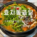 효자 정신비 이미지