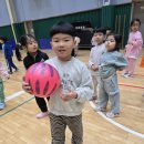 대한태권도수련관 이미지