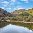 세심자연휴양림 이미지