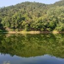 큰나무작은도서관 이미지