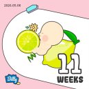 이레성별미냉면 | 8~16주차 일상