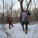 곰배령설피마을 이미지