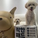 오마이펫 이미지