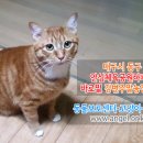 안줄농장 이미지