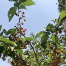 3.15아트 센터 앞 이미지