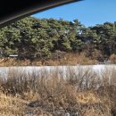 홍천리버하우스 이미지