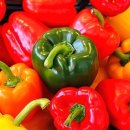 ﻿알록달록 색깔별 파프리카 놀라운 효능 이미지
