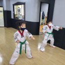 포미비룡태권도장 이미지