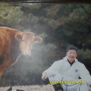 명성농장 이미지