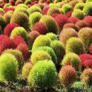 연천시장 이미지