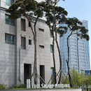 첨단초교 | 송도더샵센트럴시티아파트 임장 후기 : 지식정보단지역, 미추홀공원, 상가까지 걸어봤어요