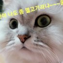 우리별 당구클럽 네이버블로그