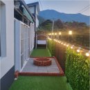 스테이더문 이미지