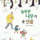 늘 푸른 나무 이미지