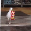 영상마트 이미지