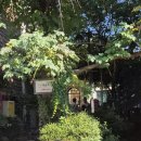 토브하우스커피3 이미지