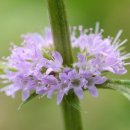 원남한의원 이미지