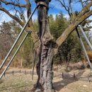 백곡리마을 이미지