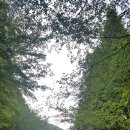 진해의아침공인중개사사무소 이미지