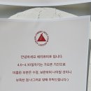 체리쁘띠푸