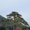 충북보은 속리산 1박2일 패키지 리마인드 수학여행 대추골주민여행사