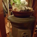 가산디지털단지역 복숭아꽃 살구꽃 이미지