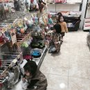 더 펫 애견샾 이미지