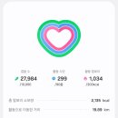 심포니관광호텔 | Day1] 홍콩2박3일 자유여행 1일차 일정 총정리 ㅣ 딤섬맛집, 아이클럽셩완 호텔, 심포니 오브 라이트 후기