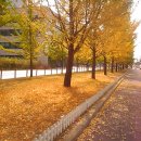 수성고등학교 이미지