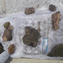 장이용소 이미지