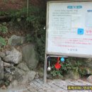 분당-335 이미지