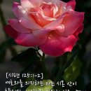 토요일 이미지