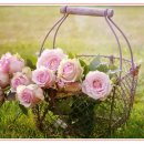 현우행정사 이미지