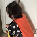 불도유치원 이미지