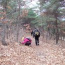 상리마을회관 앞 이미지