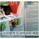 홍화원식당 | 산청엑스포 (산청세계전통의약엑스포) 후기