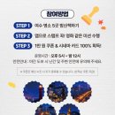 동백투어 - 해남군 중앙1로 146 | 동백투어