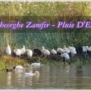 Gheorghe Zamfir - Pluie D'Ete 이미지