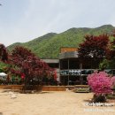 쌍곡반점 이미지