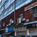 유영하는 언어-1 이미지