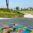 골드오션 이미지