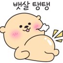 또또탕슉 이미지