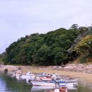 완도 맹선리 상록수림 이미지