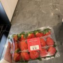 복댕이네 분식 | 2026년 1월 ⚠️고양이 사진 많음 주의 🐈⚠️